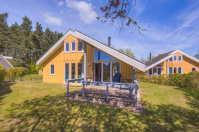 Wildgans 209, Mirow